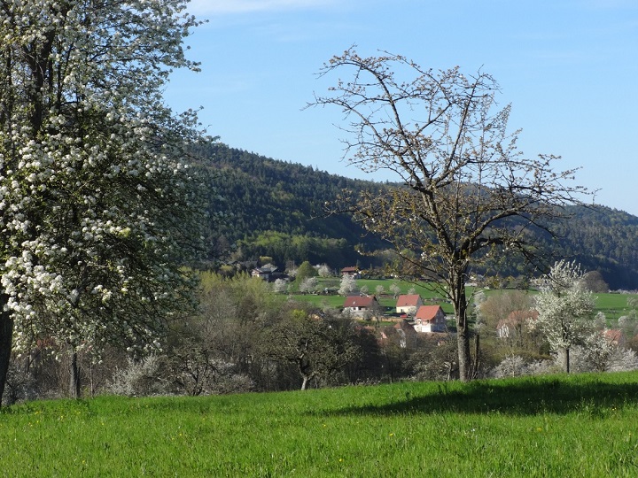 Commune de REINHARDSMUNSTER